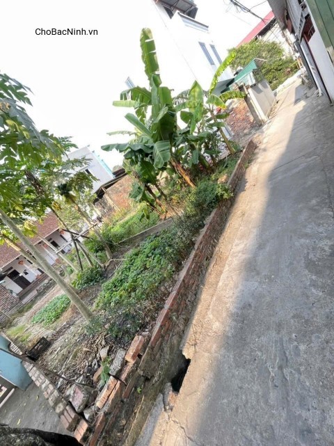 BÁN ĐẤT 42,3m2 GIỖ GIAO, VIỆT HÙNG, ĐÔNG ANH, HÀ NỘI - CBNTC