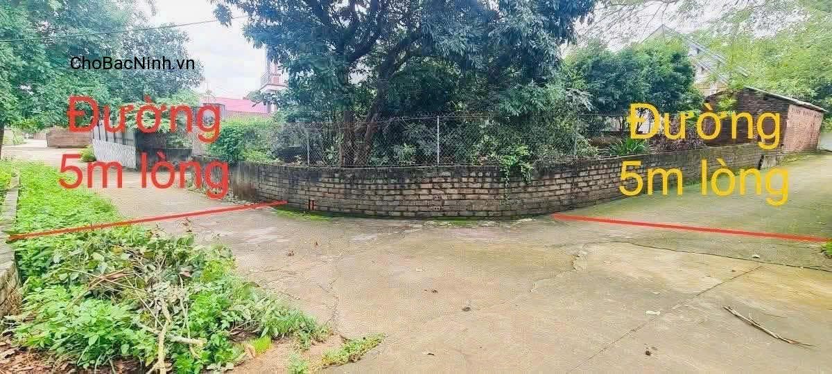 Bán đất 240m² – lô góc 2 mặt tiền cực đẹp – Xã Ngọc Lý, Bắc Ninh – CBNDY