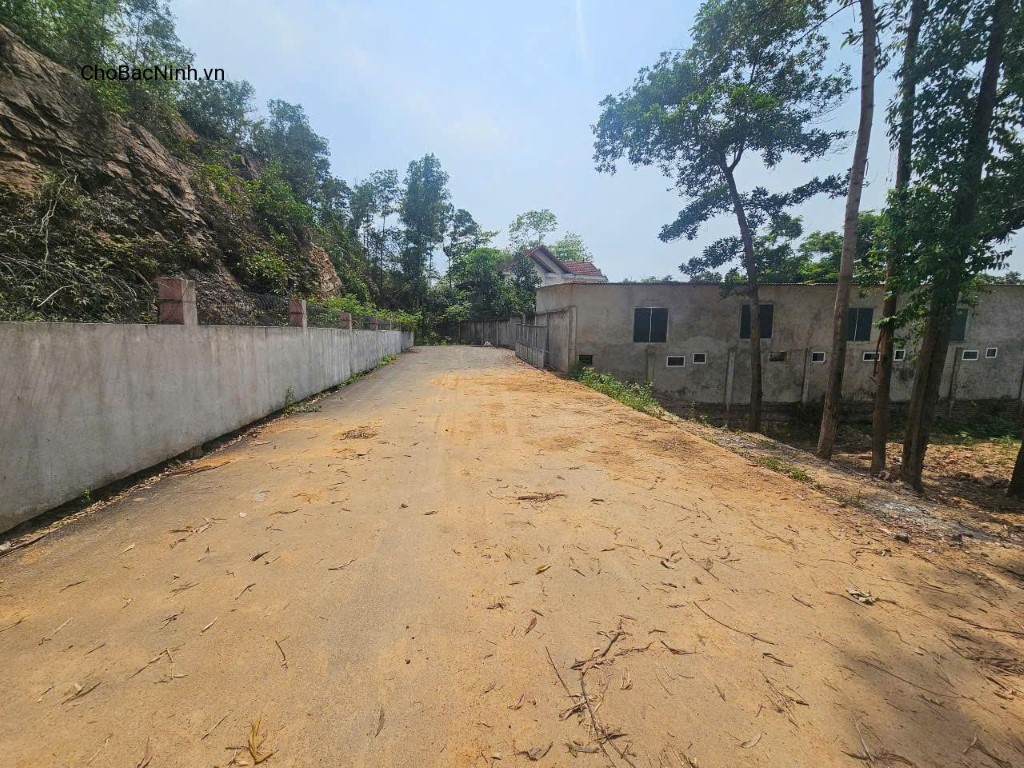 Bán đất 360m² thông hai đầu full thổ cư Hạp Lĩnh đường 2 ô tô tránh Phường Hạp Lĩnh Bắc Ninh CBNDT