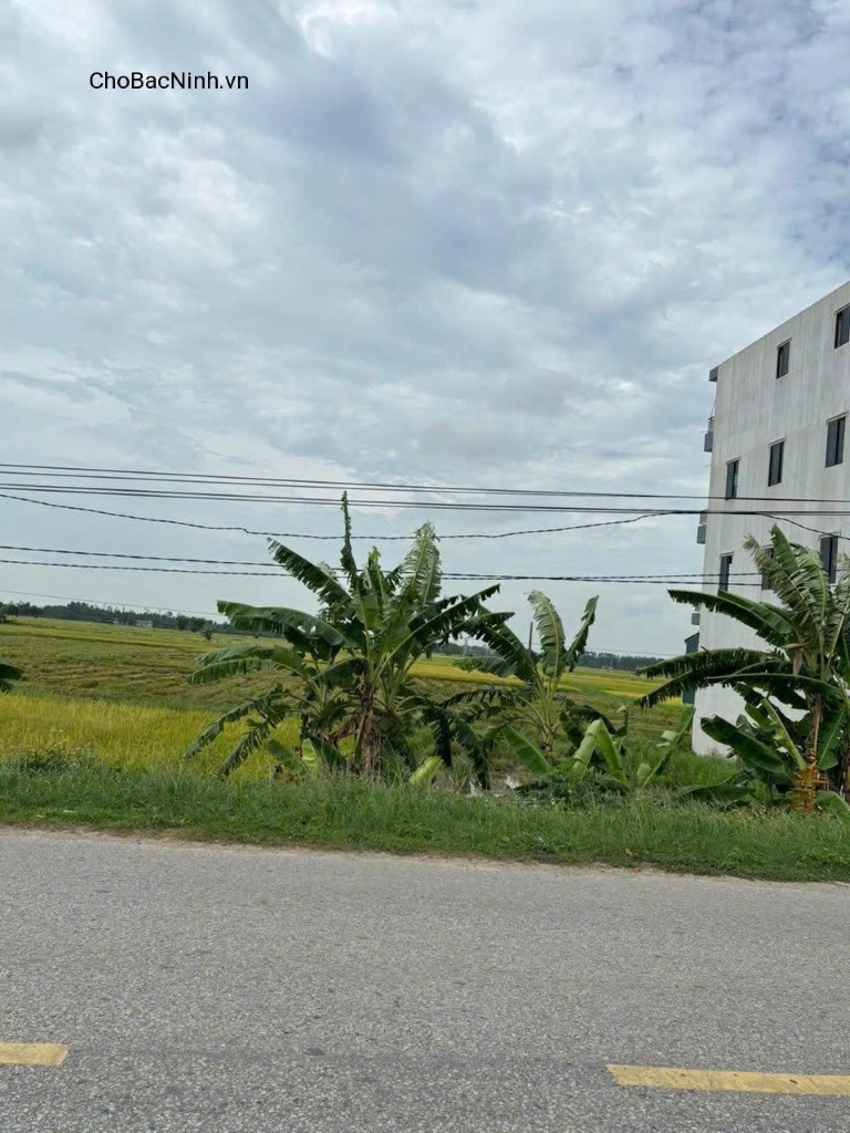 Bán đất 80m² mặt Quốc lộ 17 đối diện KCN Gia Bình 1 Bắc Ninh CBNDT