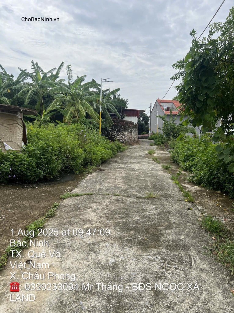 Bán đất tại xã Châu Phong, Quế Võ, Bắc Ninh - CBNNT
