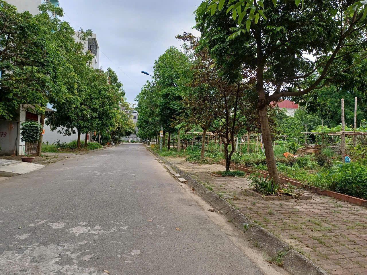 Bán đất 75m² duy nhất view vườn hoa tại khu 4, phường Đại Phúc, Võ Cường, Bắc Ninh - CBNDT