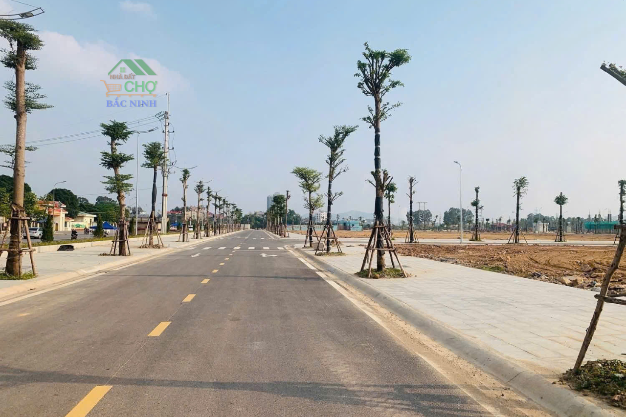 Bán lô đất 100m2 dãy OM10 tại dự án Việt Yên Riverside - Phường Việt Yên - Bắc Ninh - CBNDH