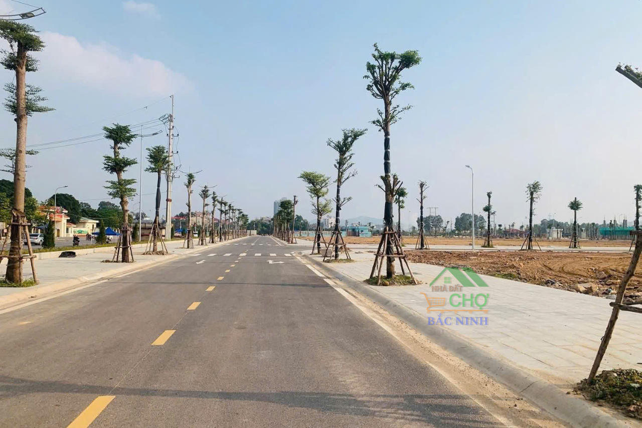 Bán lô đất 200m2 dãy OM13 tại dự án Việt Yên Riverside - Phường Việt Yên - Bắc Ninh - CBNDH