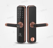 Khóa vân tay Kassler KL-668 App Red Bronze