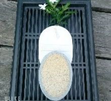 BÔNG TẮM DU LỊCH