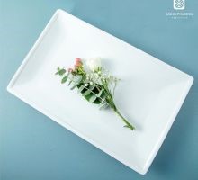 Đĩa chữ nhật 14 Inch 35.2*22.2*3cm Long Phương