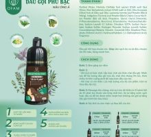 DẦU GỘI PHỦ BẠC O'FAM MÀU NÂU ZORO 400ml